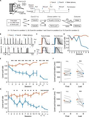 Non-action Learning: Saving Action-Associated Cost Serves as a Covert Reward